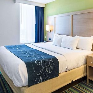 Suite mit Kingsize-Bett